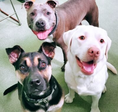 80970dee-4175-4aa7-99f5-a609b22166c0